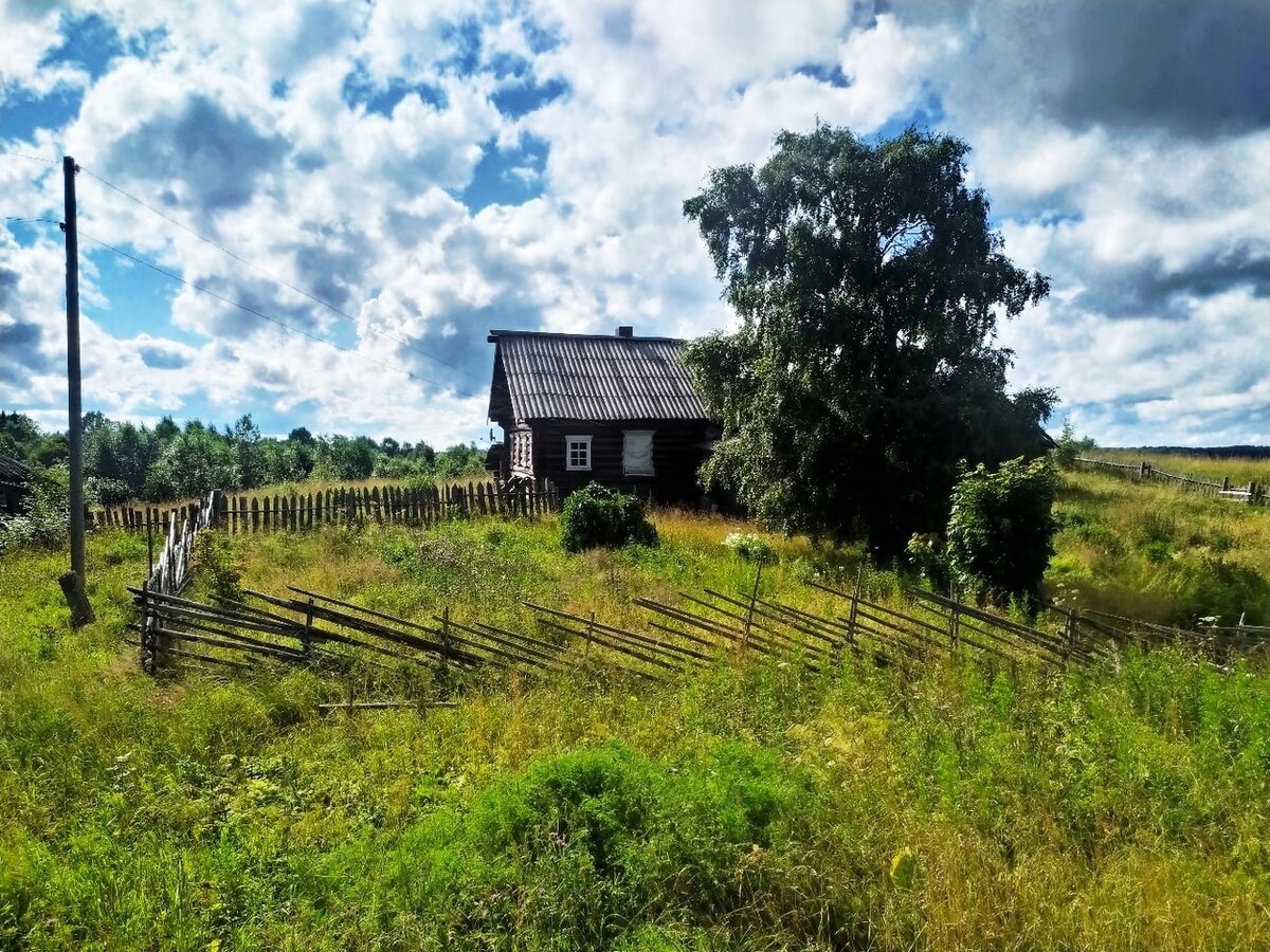 Фото с запахом деревни