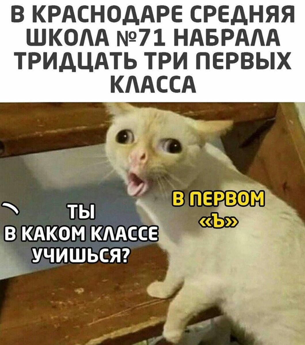 Хочешь переехать в Краснодар? Сначала прочитай эти минусы | Не сидится |  Дзен