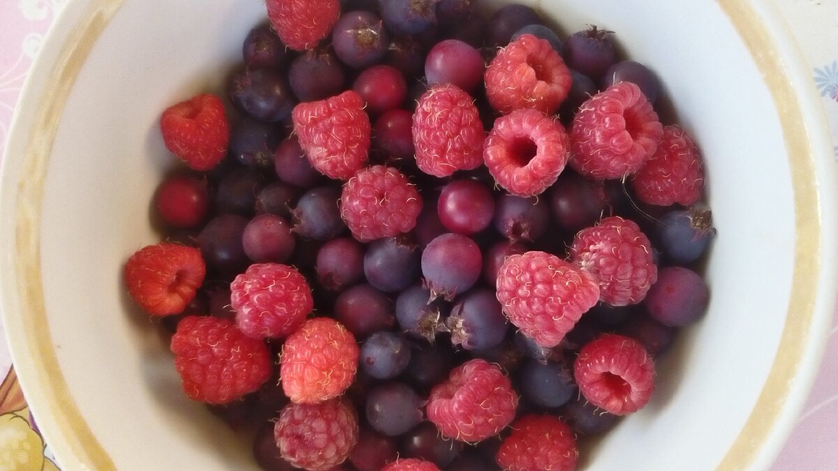 Ирга, малина