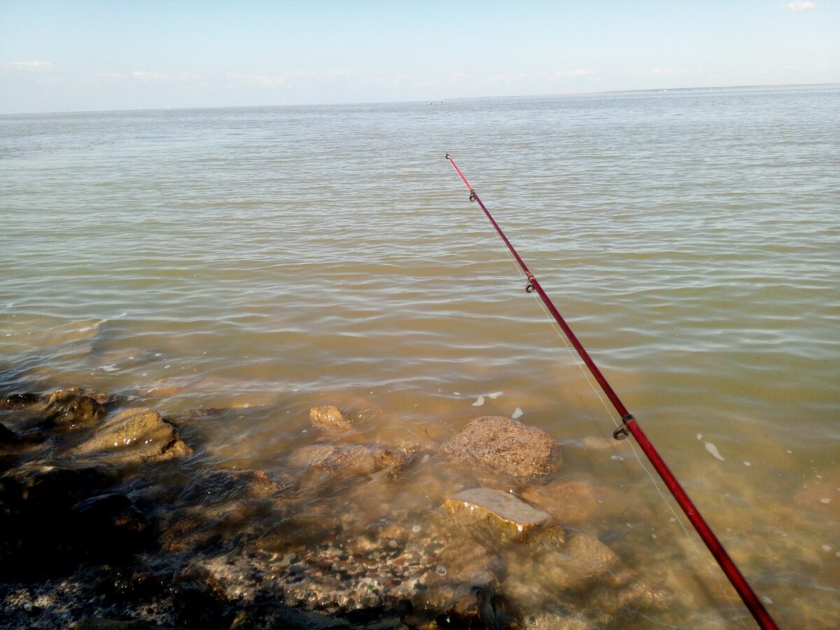 вот удочка ещё со старыми кольцами.