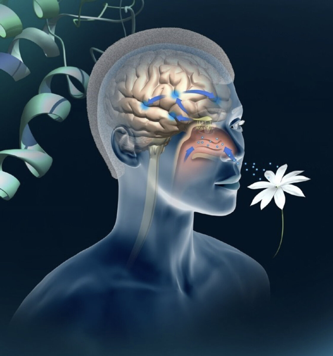 Источник фото: Яндекс 