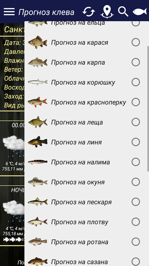 Рыболовный прогноз погоды. Прогноз клева. Календарь рыбалки. Календарь клева. Клев рыбы.