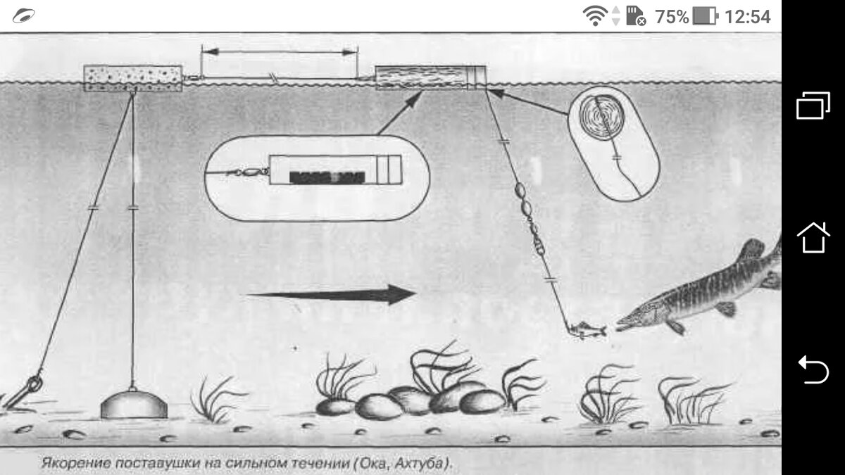 фото Как одеть живца на тройник жерлицы