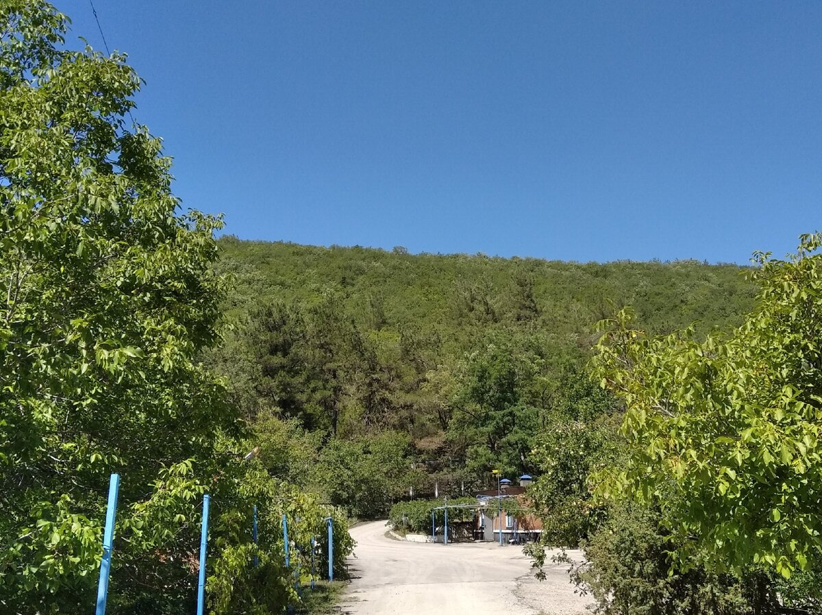 Пышная зелень рядом с водозабором не вяжется с пересохшим руслом. Фото автора