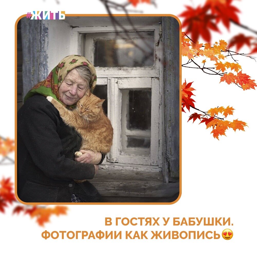 Бабушки во всем мире одинаковы: они без ума от своих внуков, всегда норовят их накормить и вручить им деньги "на мороженое" и искренне за них переживают🤲

Мы собрали для Вас фотографии, напоминающие, за что мы так ценим наших горячо любимых бабушек и глядя на которые, детство снова оказывается где-то рядом💓

Цените мгновения, проведенные рядом с бабушками - они бесценны🙌

#жить #проектжить #бабушки