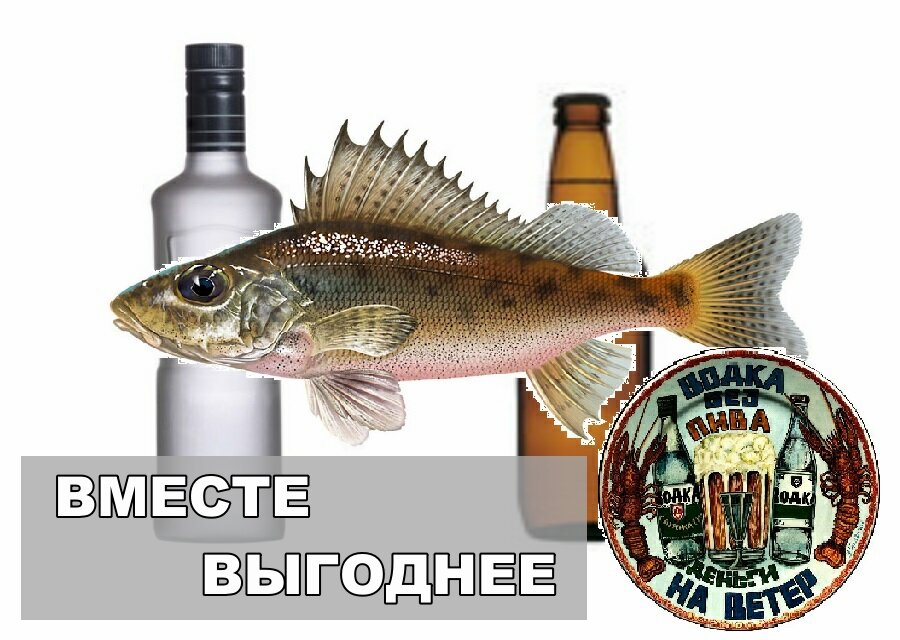 Водка с пивом - или это опасно 