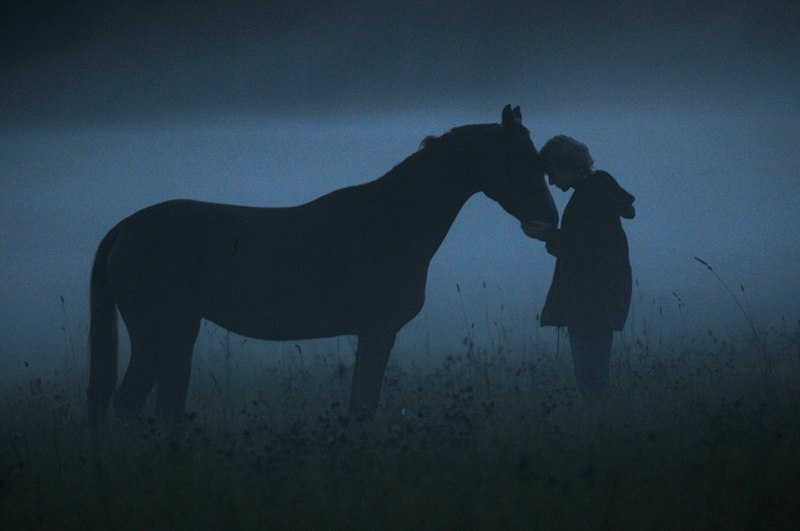 Лошадь в темноте. Лошадь ночью. Лошадь в тумане. Лошадь и человек любовь.