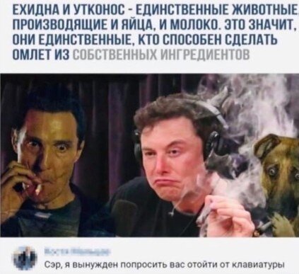 Все мемы со всего интернета, так что возможны баяны. ;)