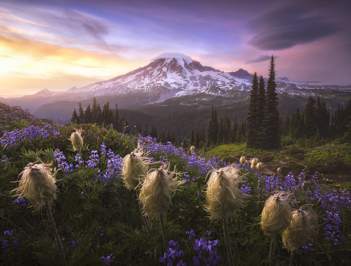 Photo by Joshua Snow
