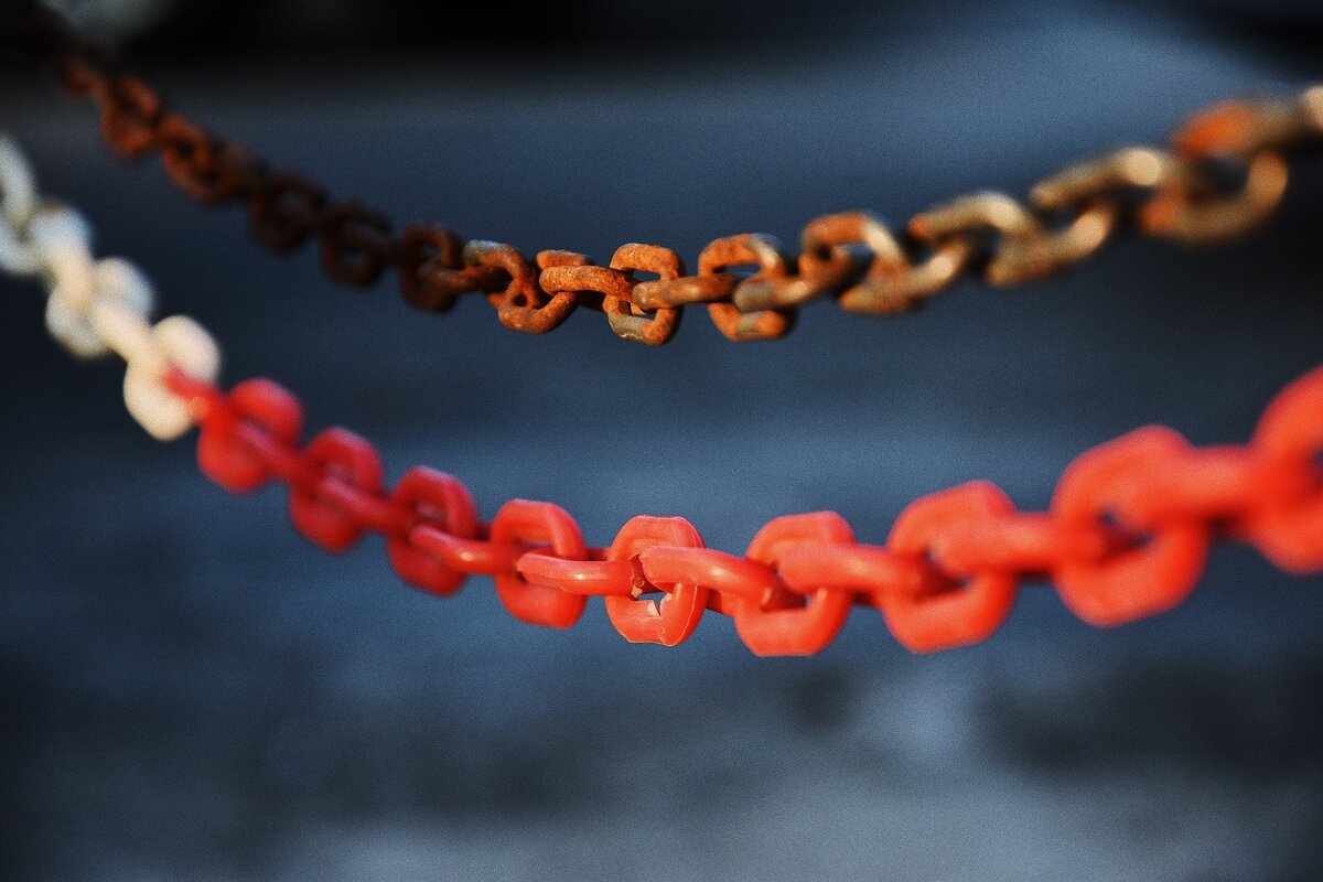 Photo by Pocky Lee on Unsplash