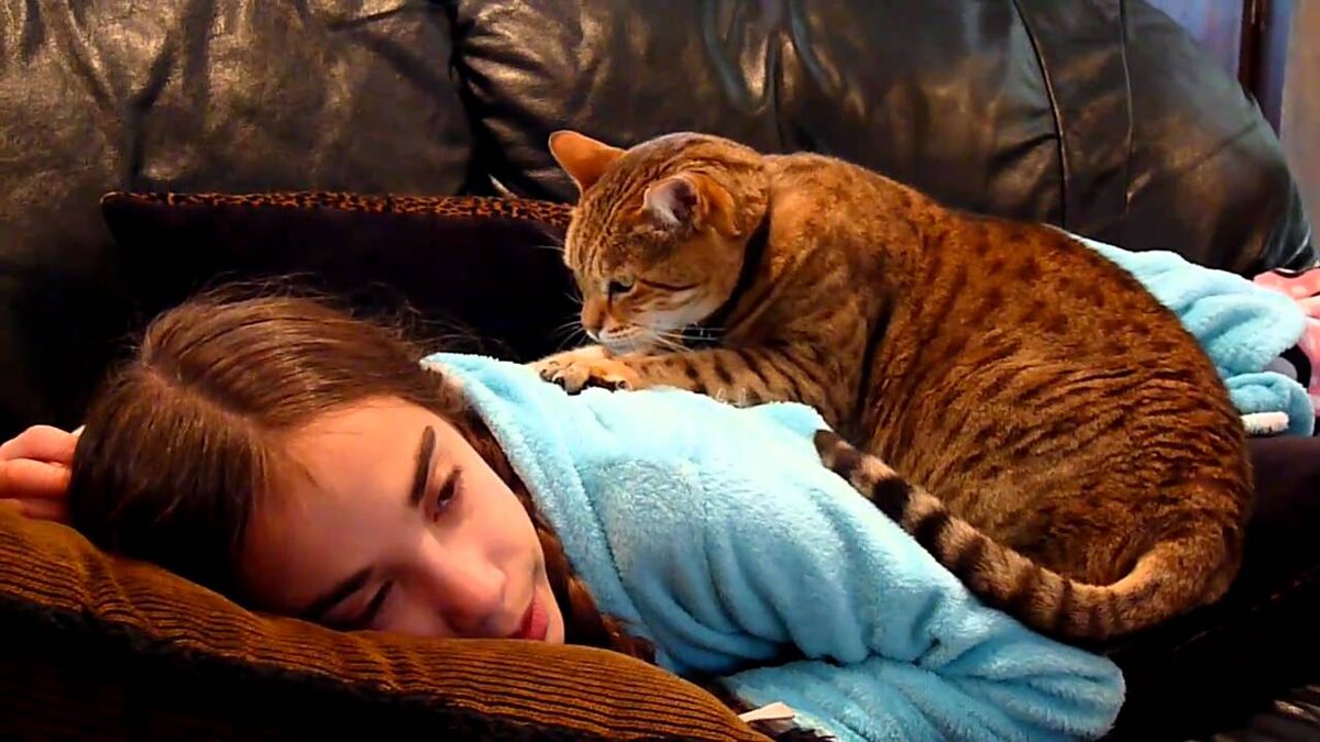 Фото из сети.