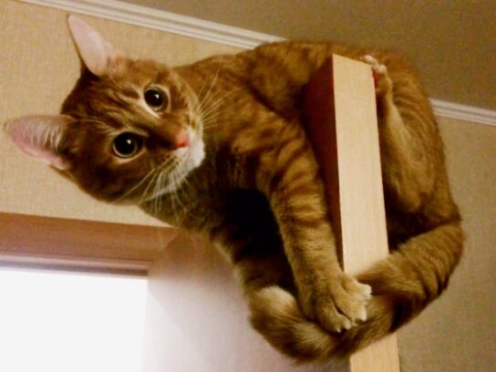 Фото взято из открытого источника для иллюстрации статьи