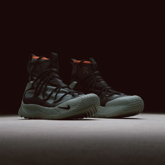 Nike ACG Air Terra Antarktik