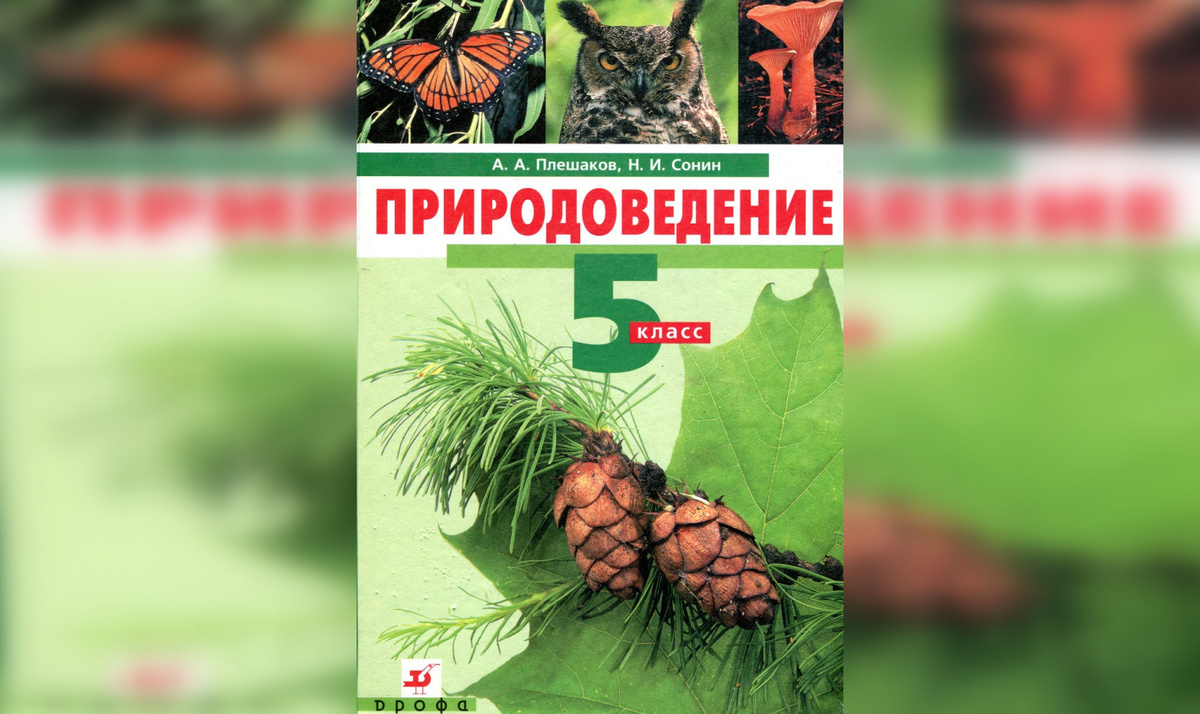 «Дети, которые выросли после 90-х, сегодня стали не очень правильными менеджерами, и в результате мы получаем такое достаточно нигилистическое отношение к природе среди наших управленцев, – отметил Элмурод Расулмухамедов. – К чему это привело, мы видим каждый день. Это экологическая катастрофа. И теперь нам, конечно, необходимо все это исправлять».Новый курс школьной экологии вполне мог бы взять за основу советскую модель системного экологического образования – с ее теплицами, сбором макулатуры и другими практическими навыками, уверен эксперт.