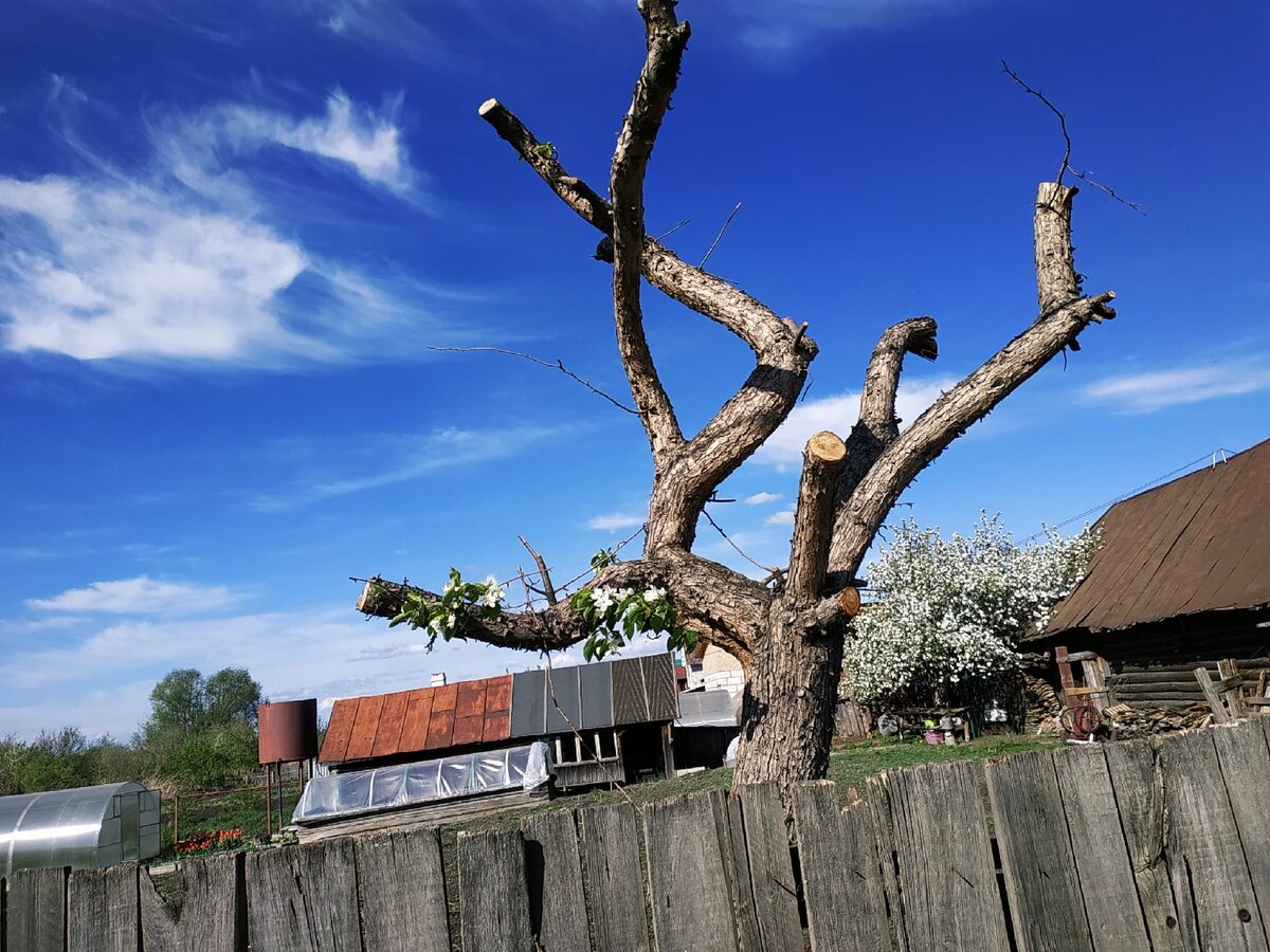 Доброго здравия, читатель!