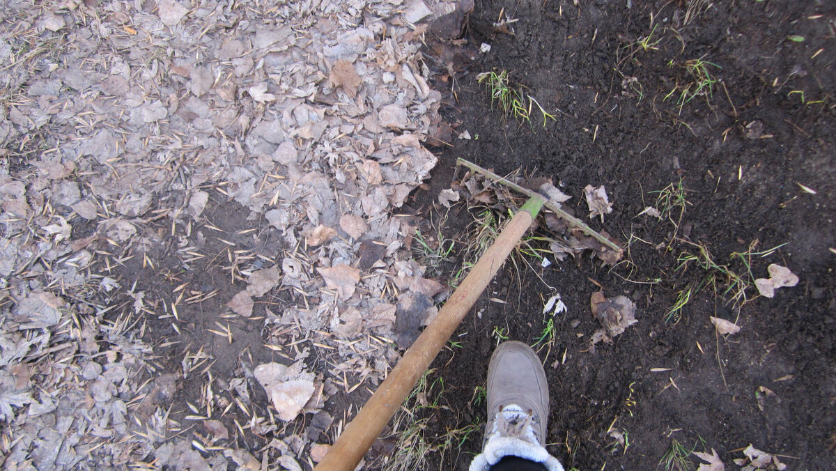 Как же приятно, когда у твоего дома зеленеет травка, а не сухая листва с мусором лежит