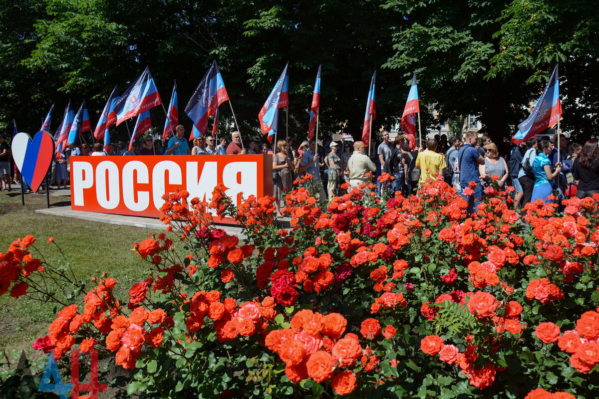 Наш донбасс картинки