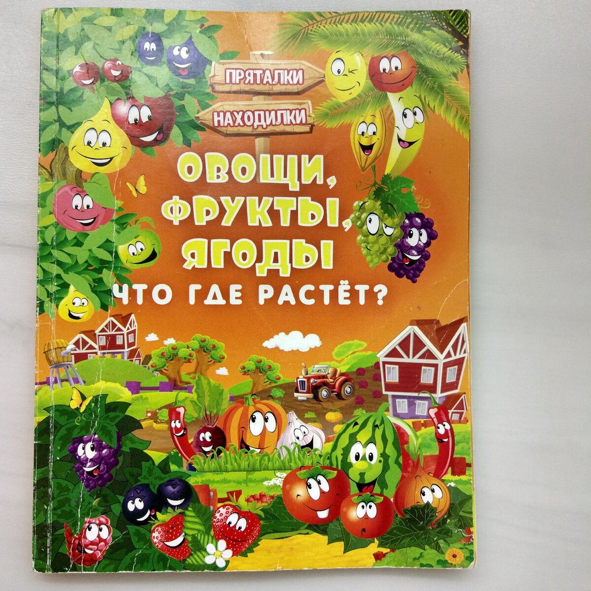 Легко учим овощи, фрукты и ягоды | Детская библиотека | Дзен