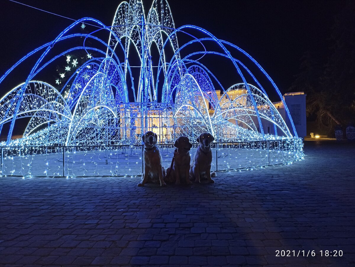Куба, Ляля и Бетти на вечерней прогулке в нашем парке