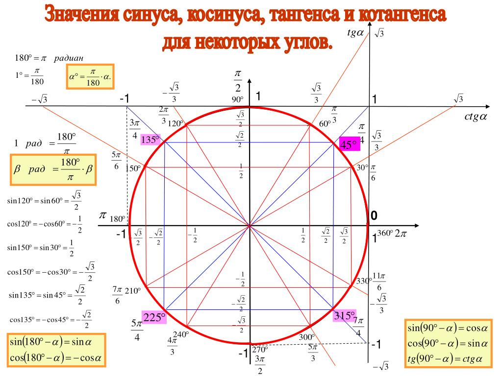 Таблица значений синусов косинусов тангенсов. Окружность синусов и косинусов тангенсов котангенсов. Тригонометрический круг таблица синусов и косинусов. Таблица синусов на окружности. Тригонометрический круг танг.