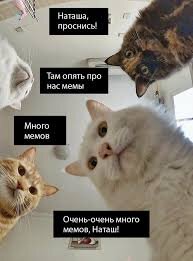 Мемчик про Наташу