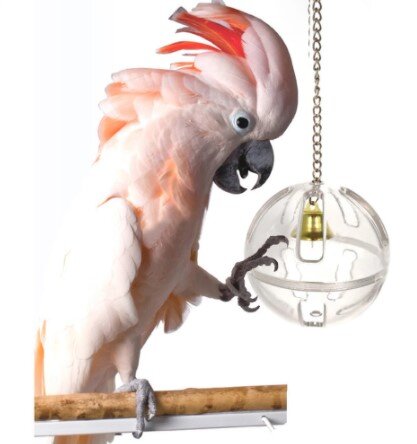 Фото со страницы продавца