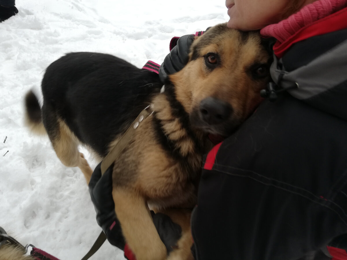 Алекс сначала очень испугался, а потом начал обниматься