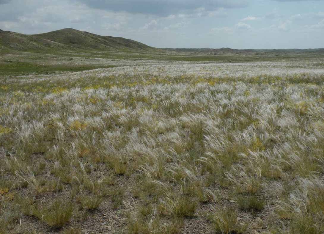 Моя Родина - Казахстан