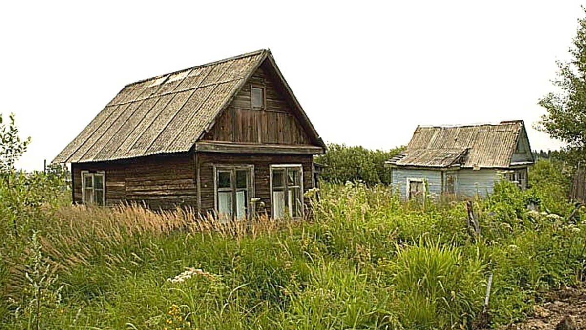 заросшие дачи
