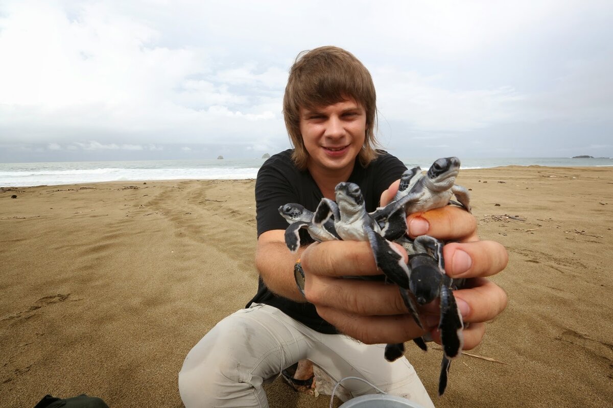 Комаровым. Передача на пятнице про путешествия. В торопях на изнанку. В торопях на изнанку. В торопях на изнанку.