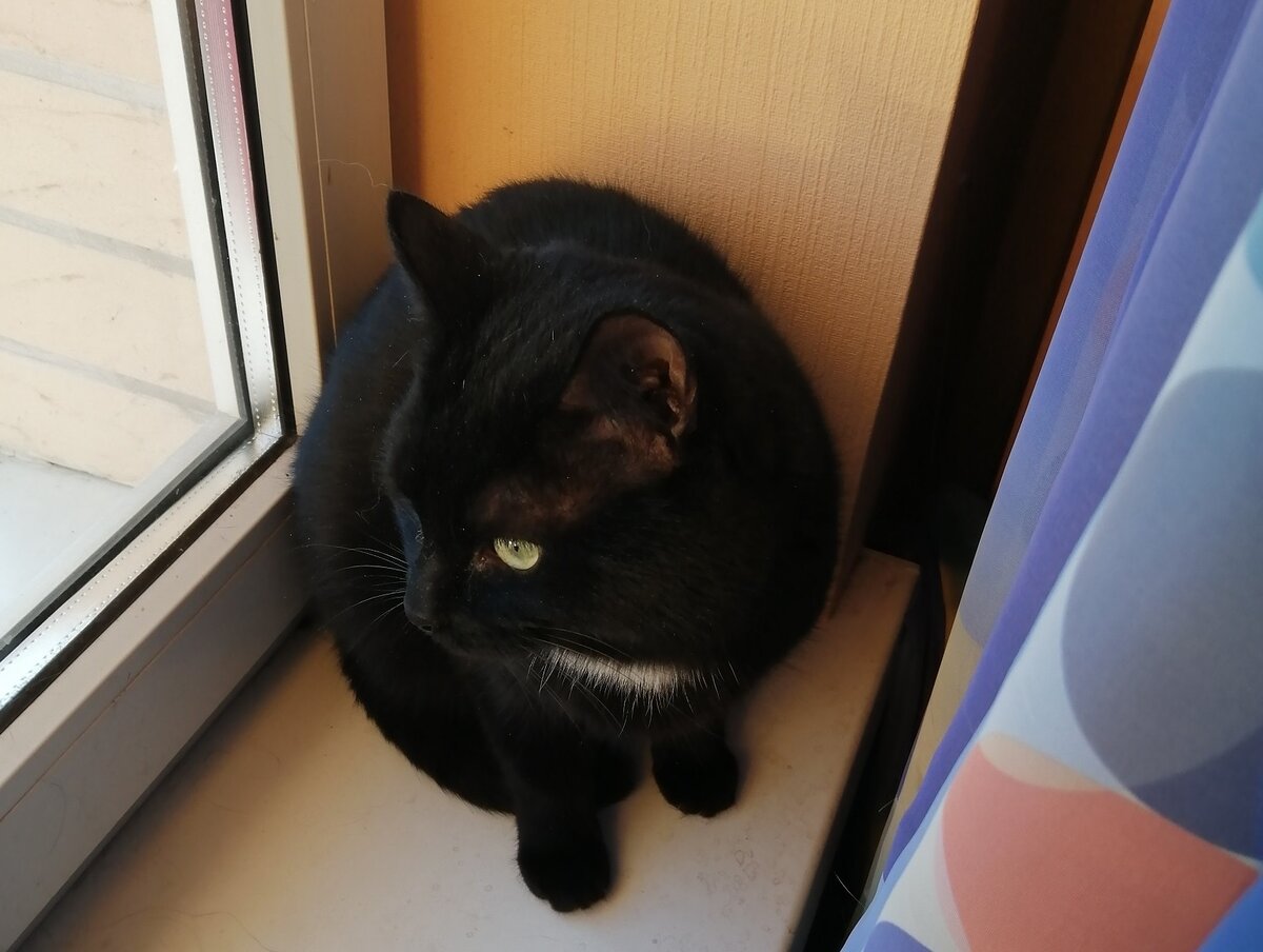 Игнат надеется и скучает...