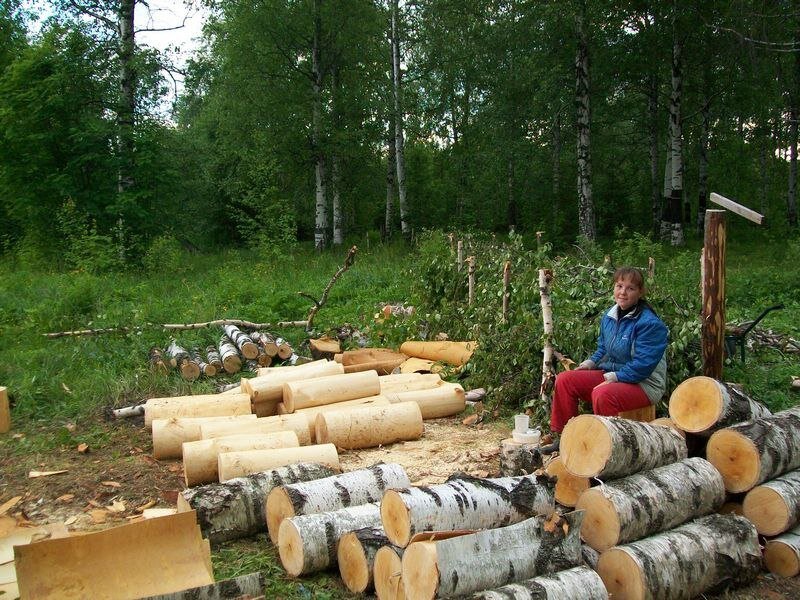 Чурки 60 см. Кора ОБЯЗАТЕЛЬНО снимается (май-июнь). потом распилю на 30 см.