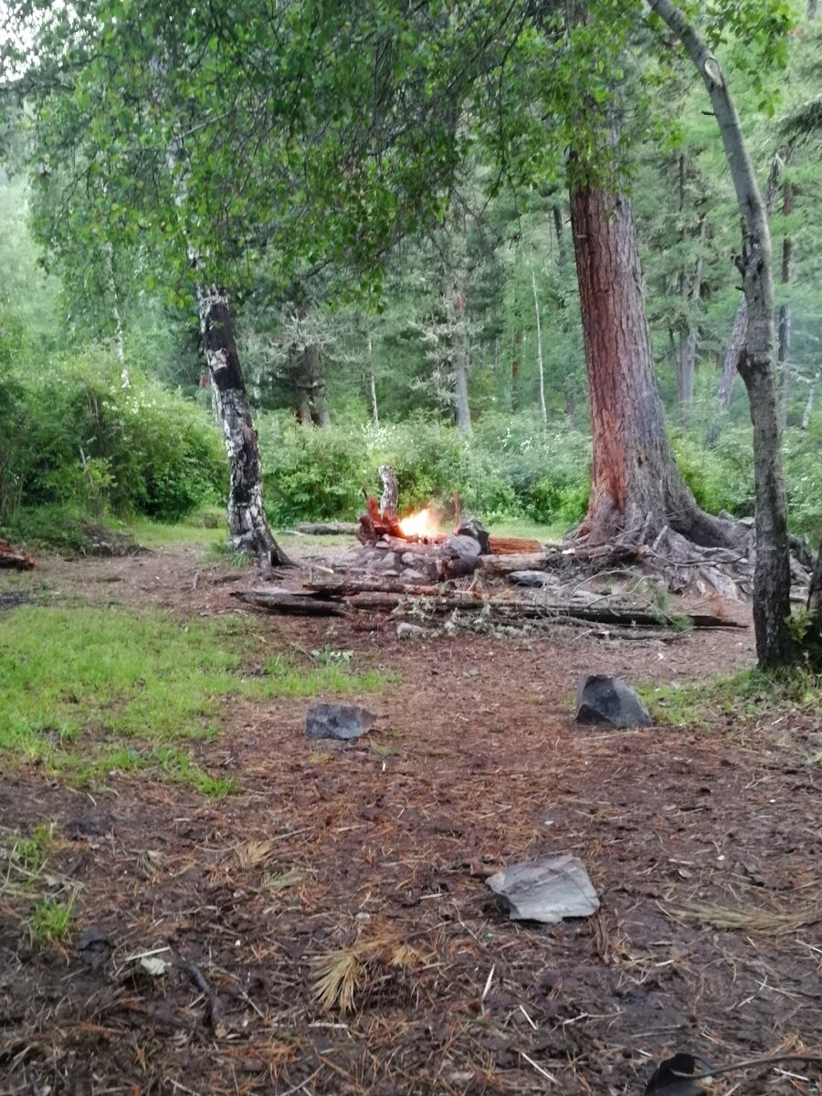 Где-то в лесу