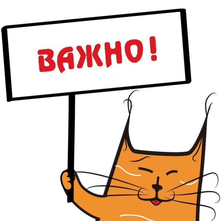 Картинка с просторов интернета