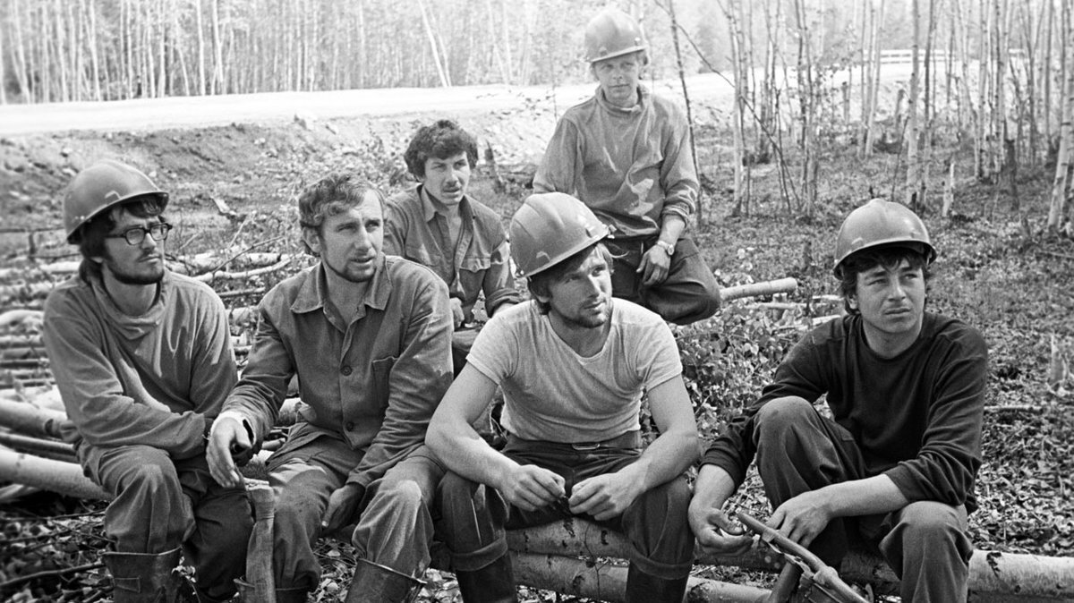                                         Погибали вот такие молодые. здоровые красавцы.