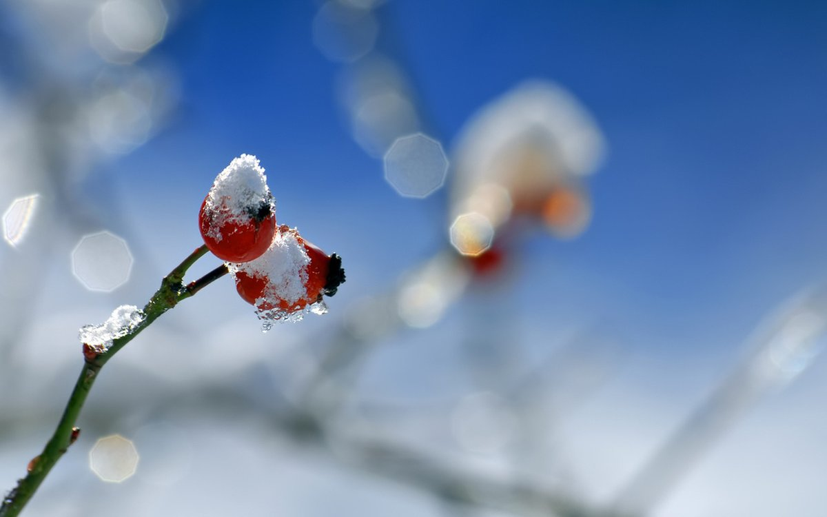 фото из Интернета