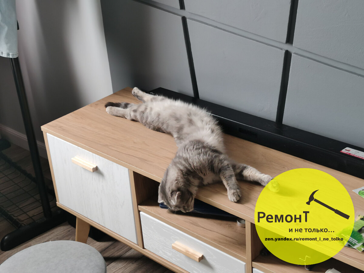 Кошке нравится больше, чем ее лежанка