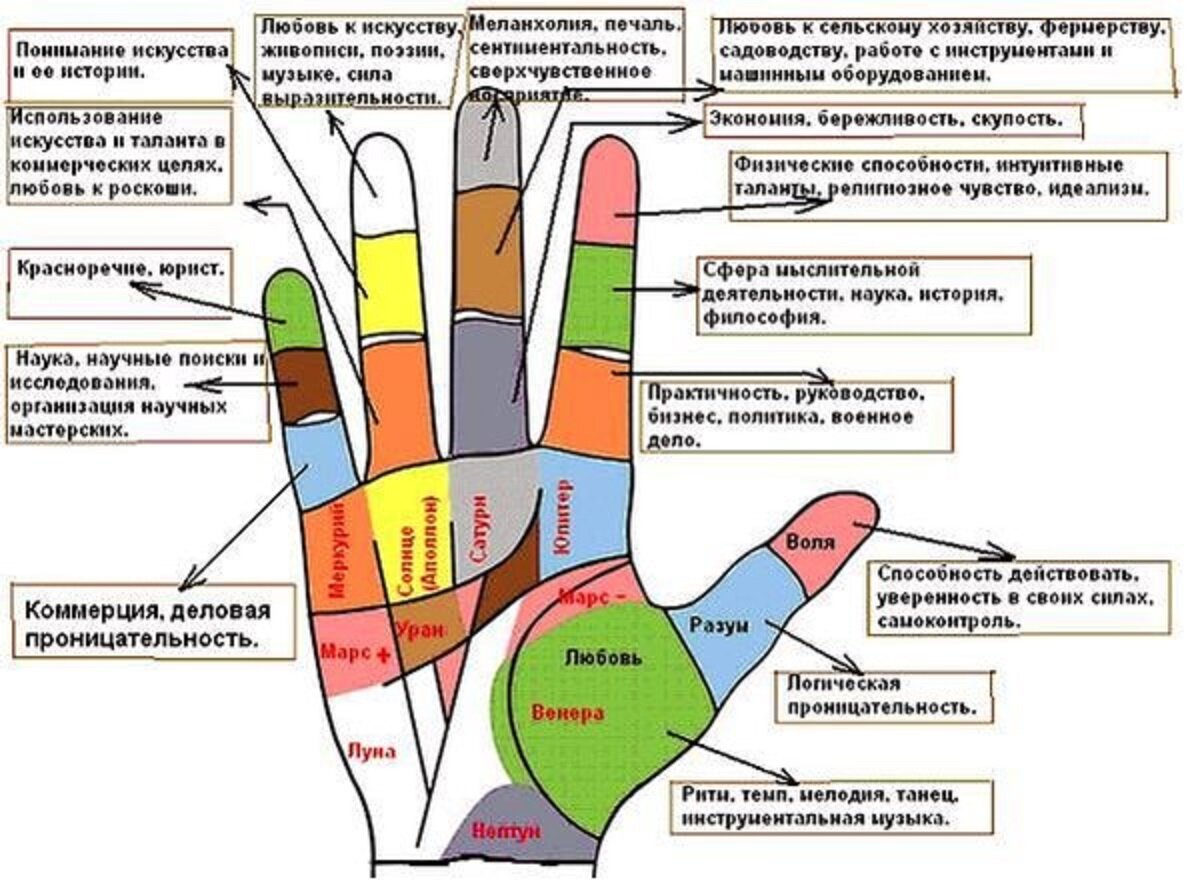 Пальцы на руках значение