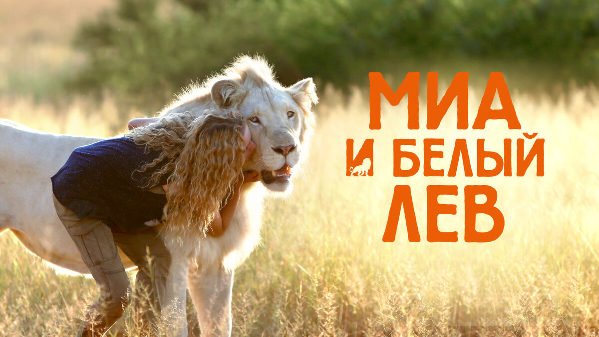 11.04.2019 г. 7,2/10 КиноПоиск