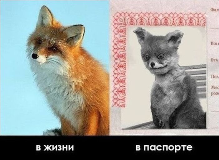 -2-2