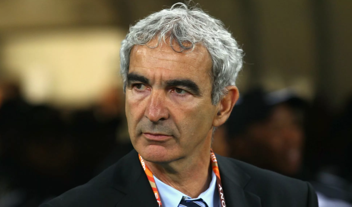 Раймон Доменек в качестве тренера сборной Франции. 