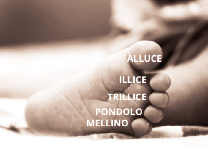 Названия пальцев ног