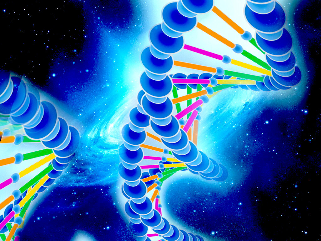 Изображение взято в свободном доступе в интернете. 