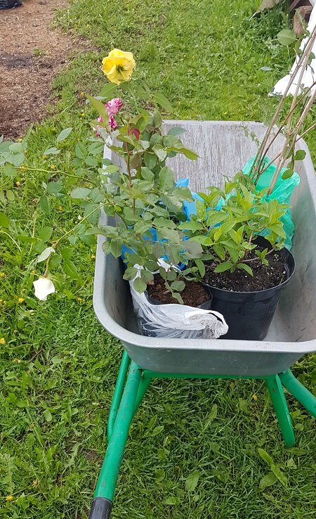 Фото автора