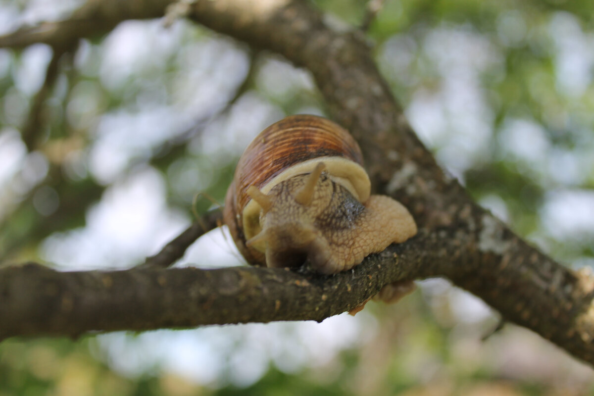 Не бери меня в руки! Я тебя укушу!