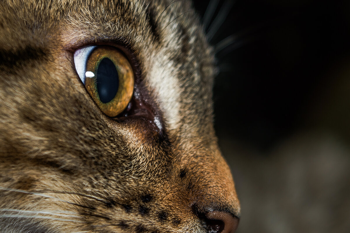 Ещё и обиду затаит.