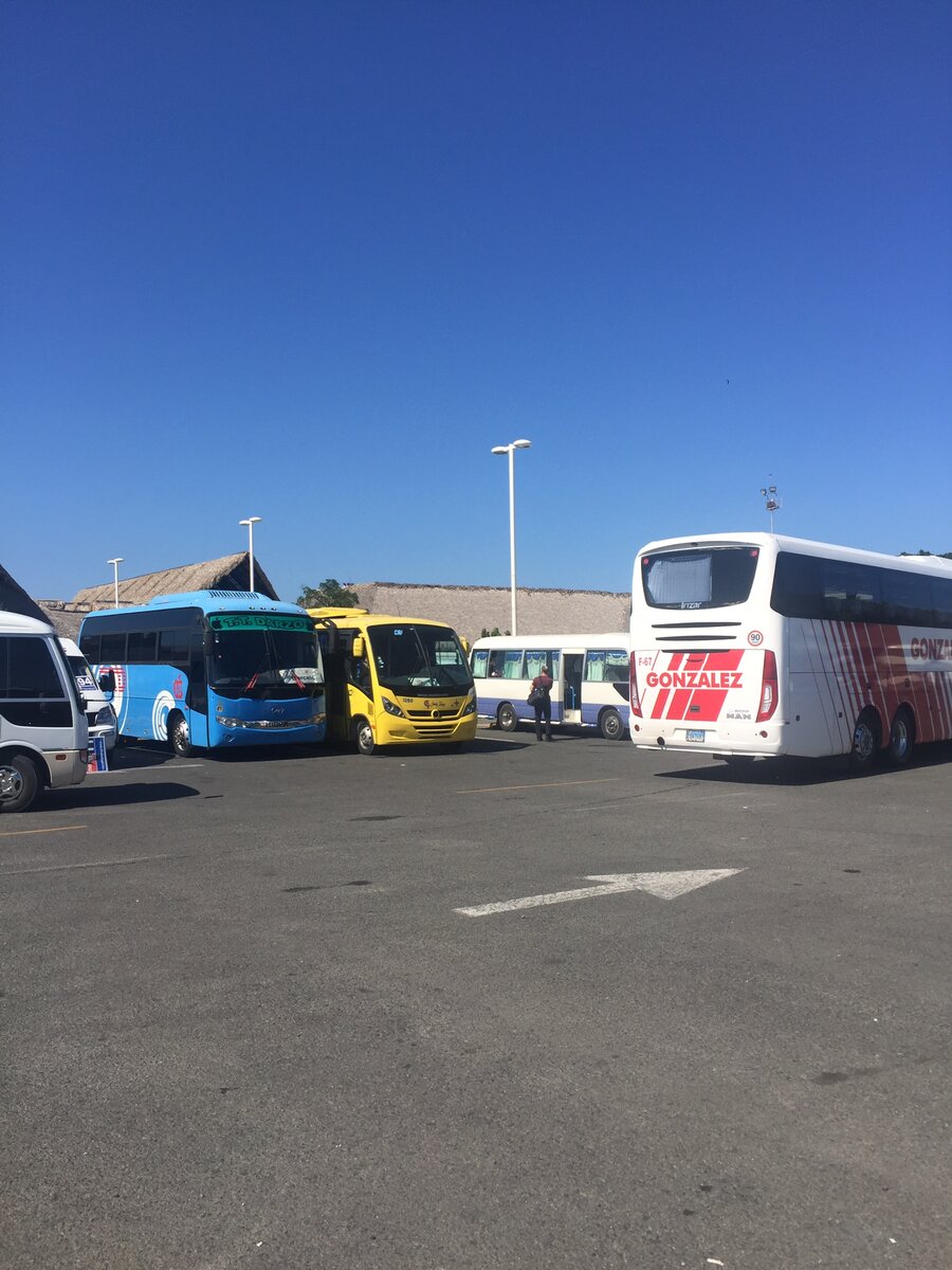 Трансферные автобусы в аэропорту Доминиканы. Собственное фото 