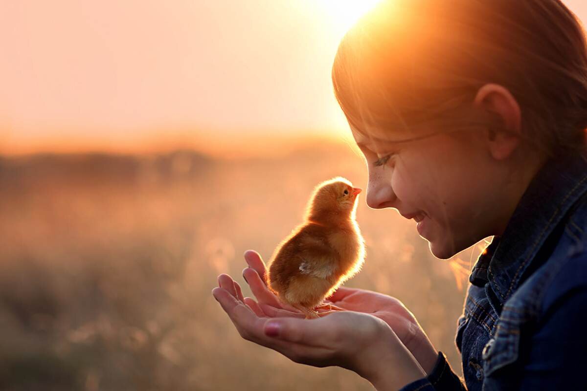 Добро – это слабость или сила?