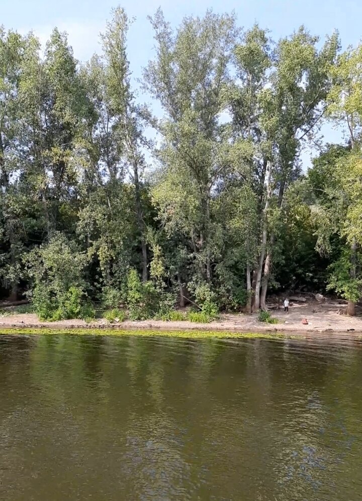 Фото автора. Лес и река.
