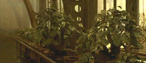 яндекс-картинки